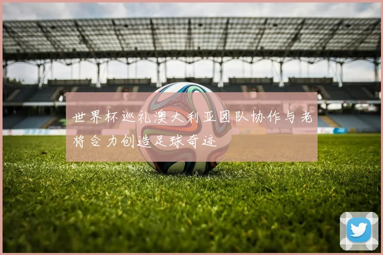 世界杯巡礼澳大利亚团队协作与老将合力创造足球奇迹