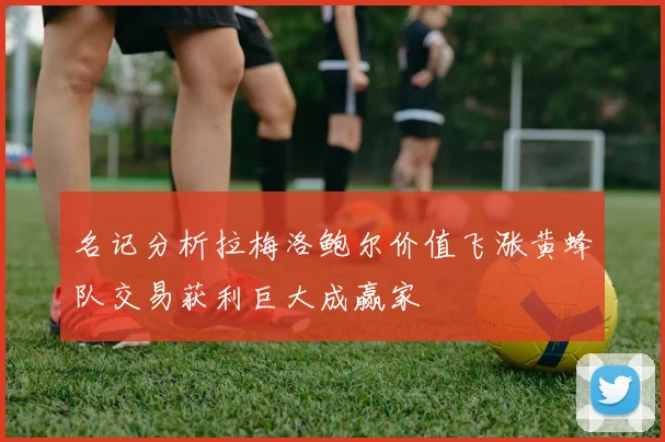 名记分析拉梅洛鲍尔价值飞涨黄蜂队交易获利巨大成赢家