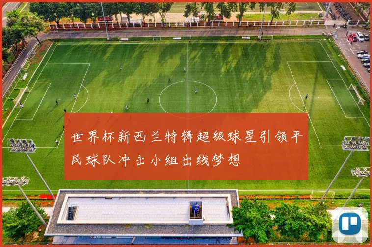 世界杯新西兰特辑超级球星引领平民球队冲击小组出线梦想